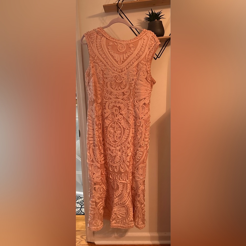 Blush pink JS Collections lace dress